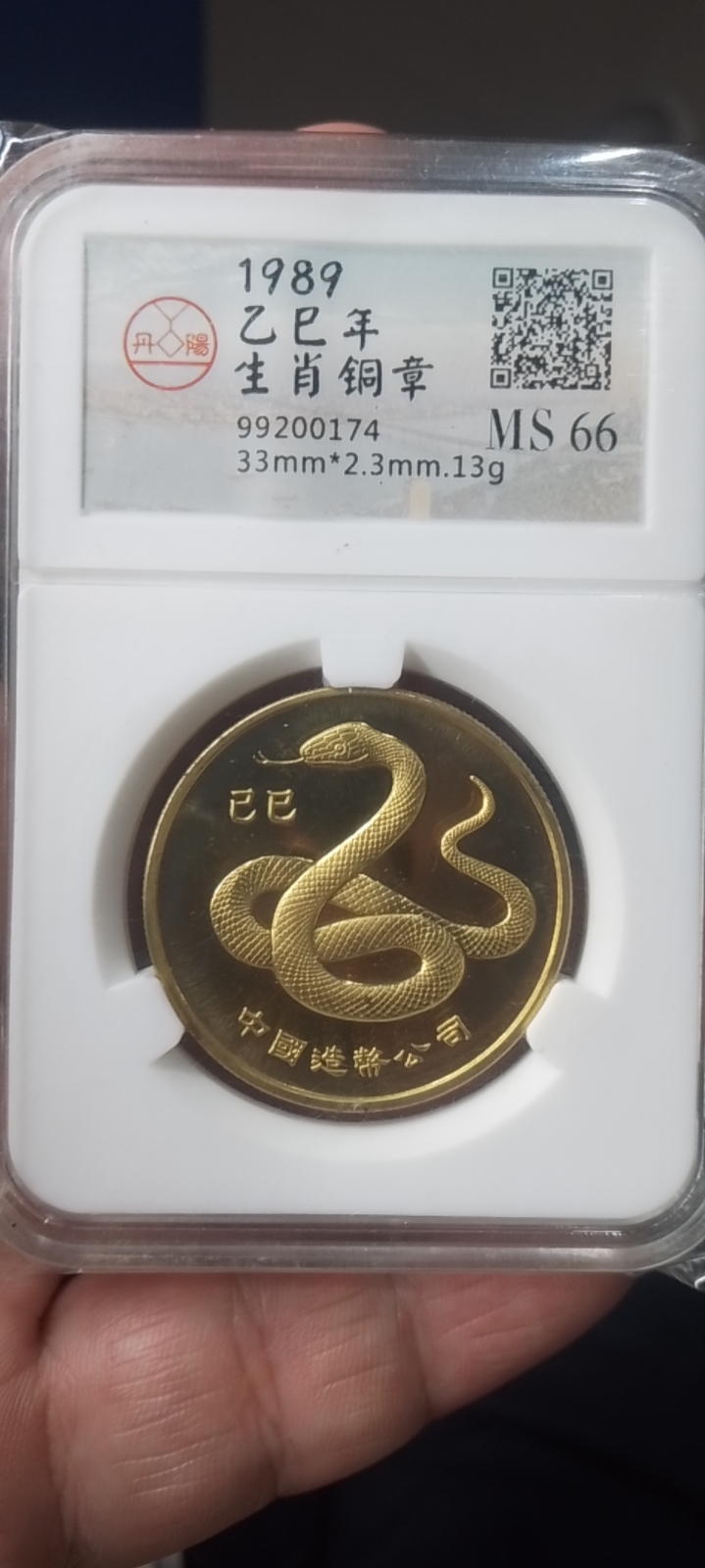 ͼƬ´ڴ򿪲鿴