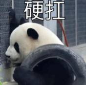 ͼƬ´ڴ򿪲鿴