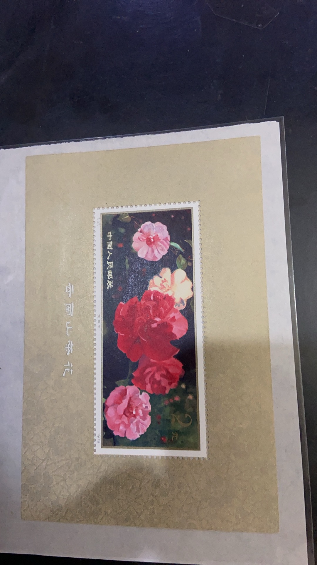 图片点击可在新窗口打开查看