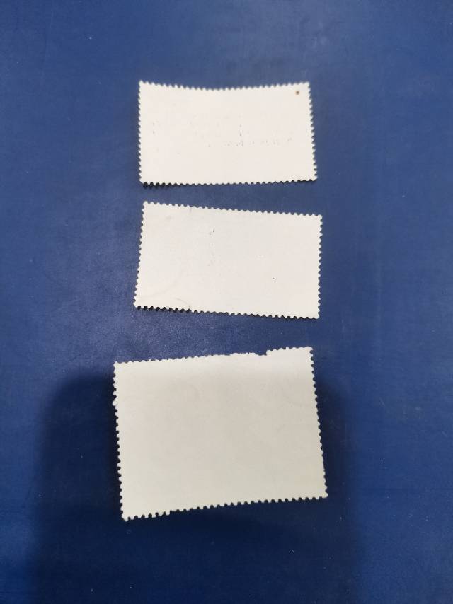 ͼƬ´ڴ򿪲鿴