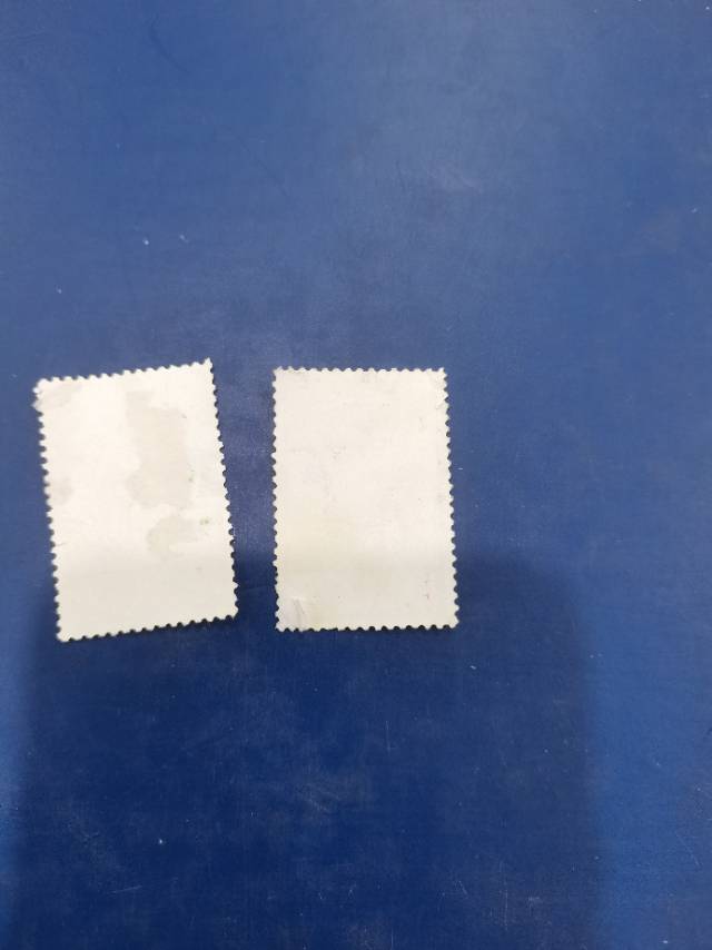 ͼƬ´ڴ򿪲鿴