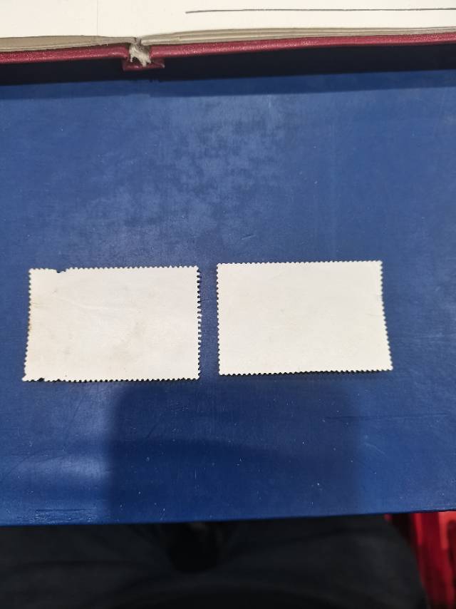 ͼƬ´ڴ򿪲鿴