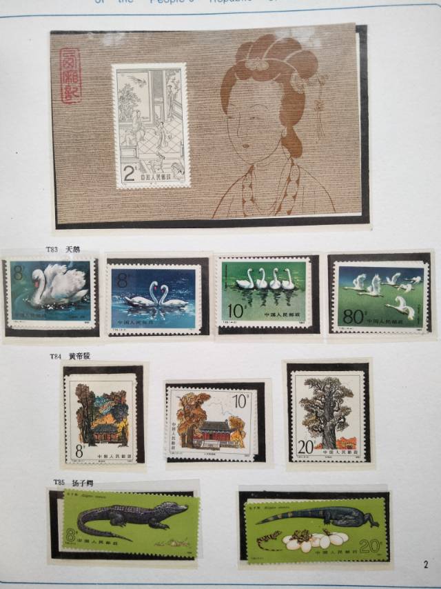 图片点击可在新窗口打开查看