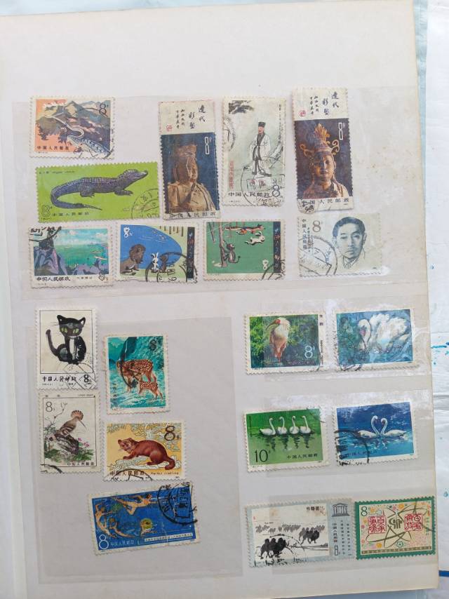 ͼƬ��������´��ڴ򿪲鿴