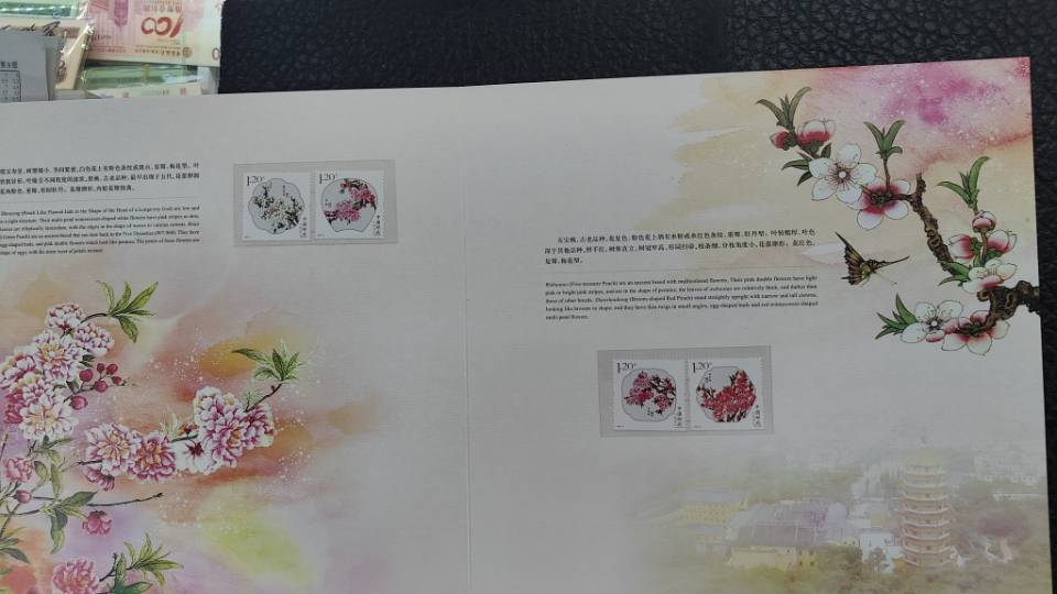 ͼƬ��������´��ڴ򿪲鿴