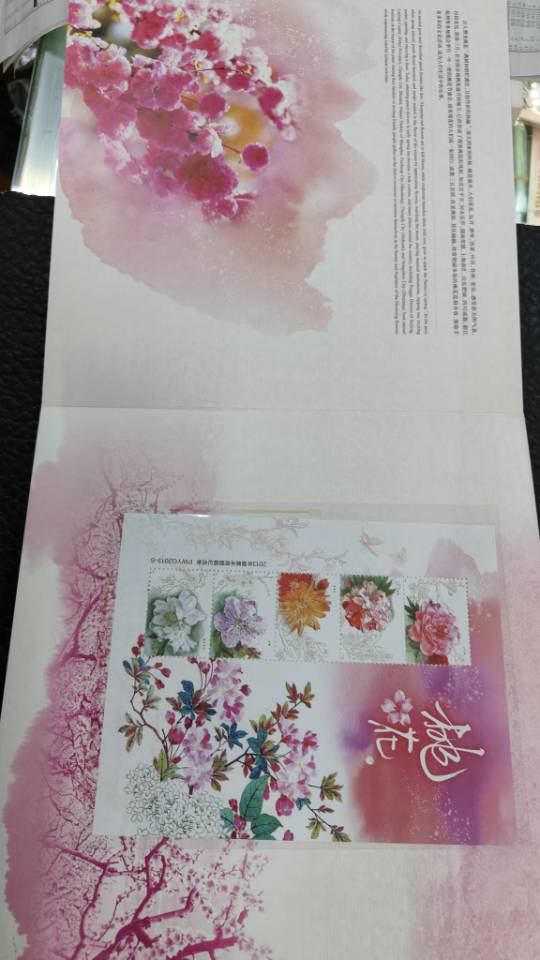 ͼƬ��������´��ڴ򿪲鿴