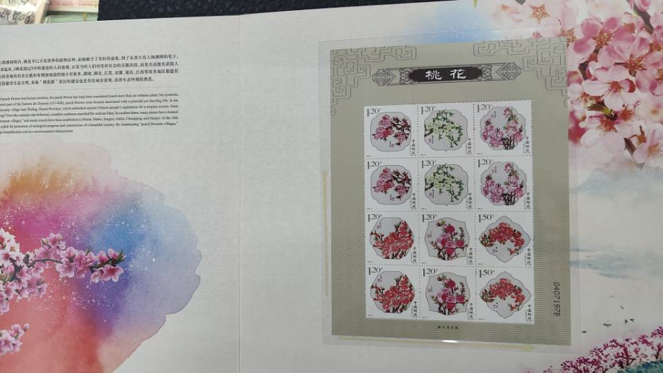 ͼƬ��������´��ڴ򿪲鿴