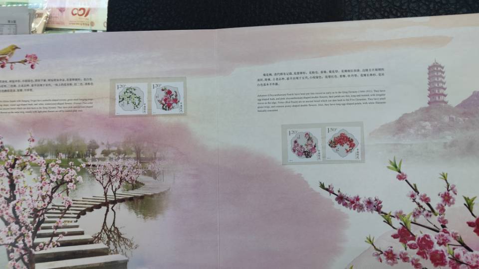 ͼƬ��������´��ڴ򿪲鿴