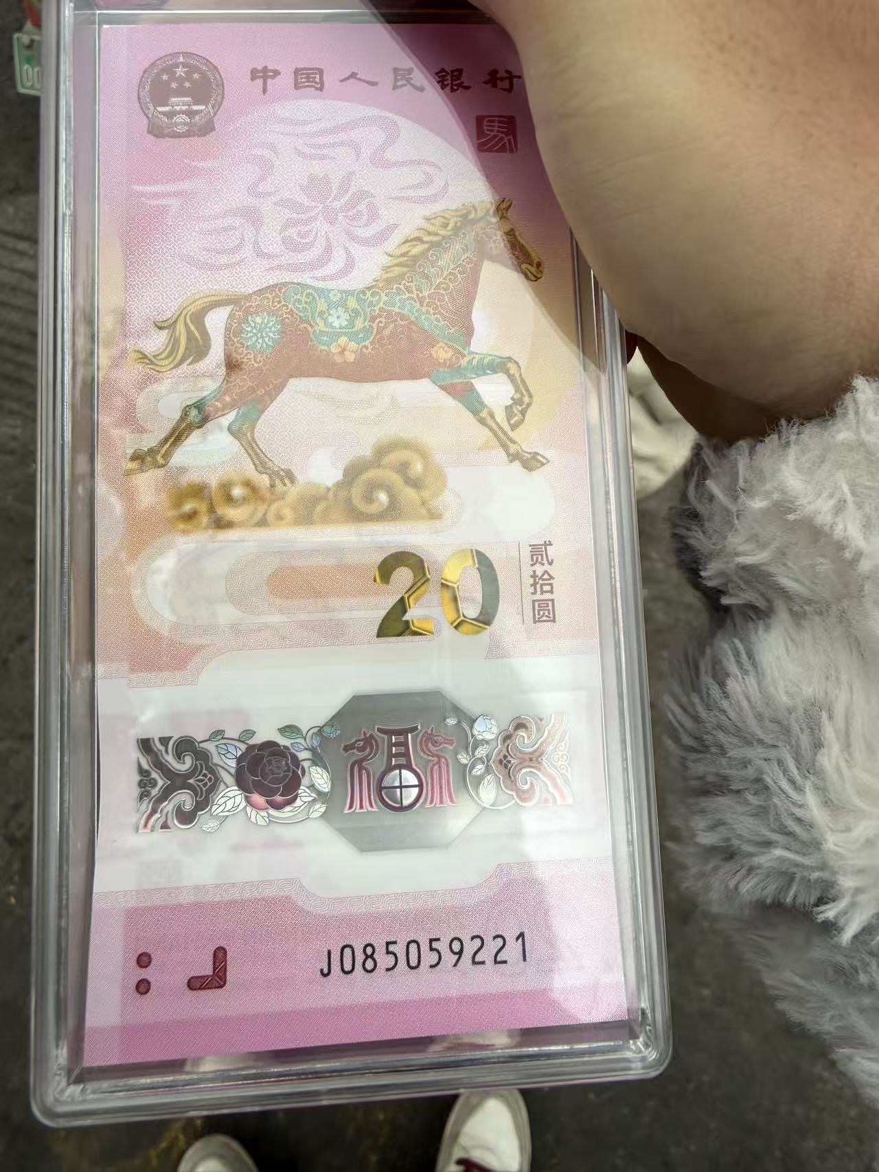 ͼƬ��������´��ڴ򿪲鿴