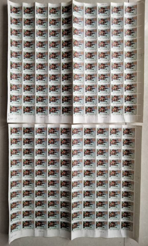 ͼƬ��������´��ڴ򿪲鿴