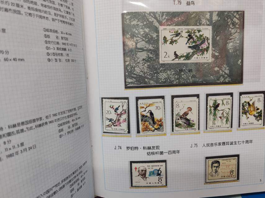 ͼƬ��������´��ڴ򿪲鿴