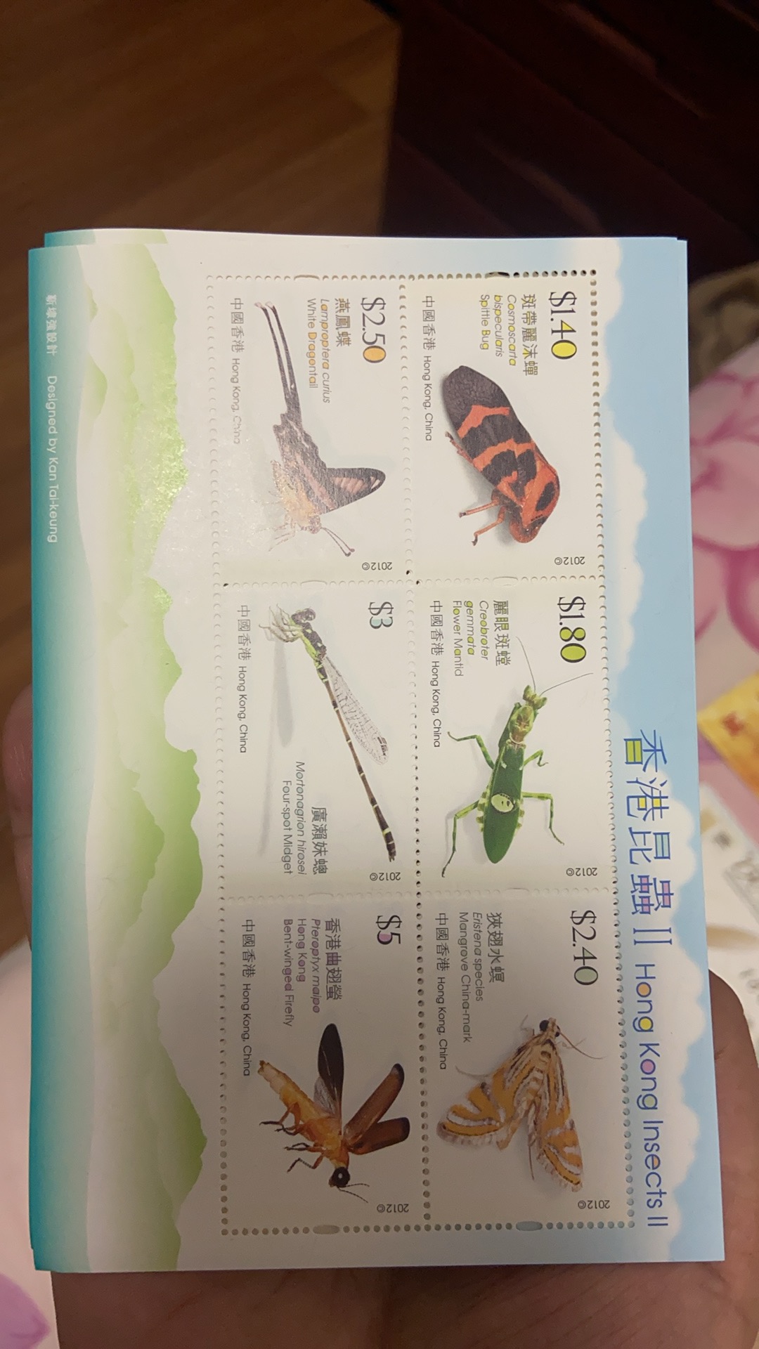 ͼƬ��������´��ڴ򿪲鿴
